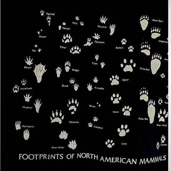 Alere vtg 90s USA made paper tag Footprints of North America Mammals tee M's XL - Picture 2 of 7
